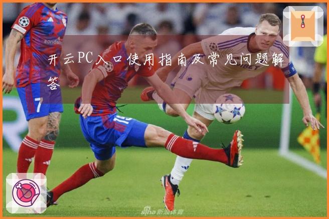 开云PC入口使用指南及常见问题解答